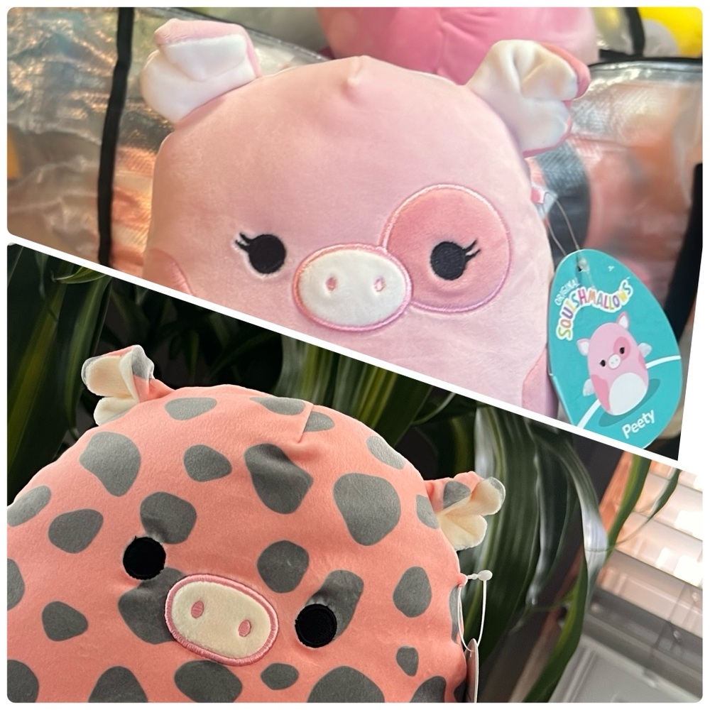 Bundle Bargain - Squishmallows -  Aquitaine & Peety